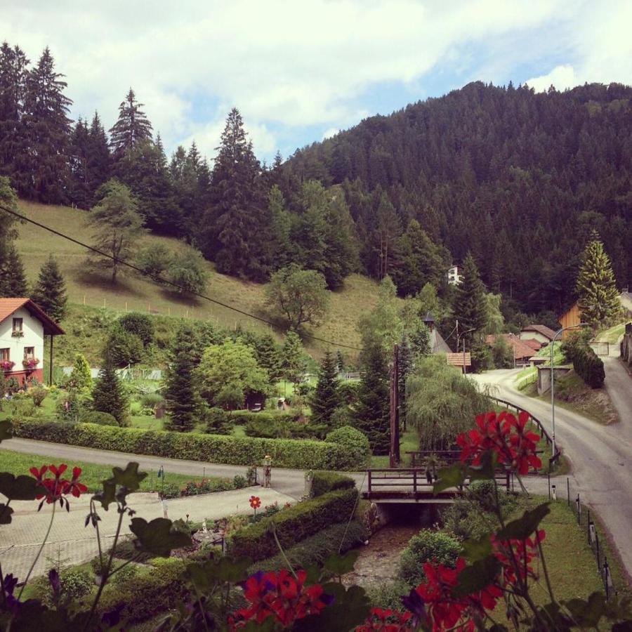 Waldblick Landhaus B&B Schwarzenbach an der Pielach Exterior foto