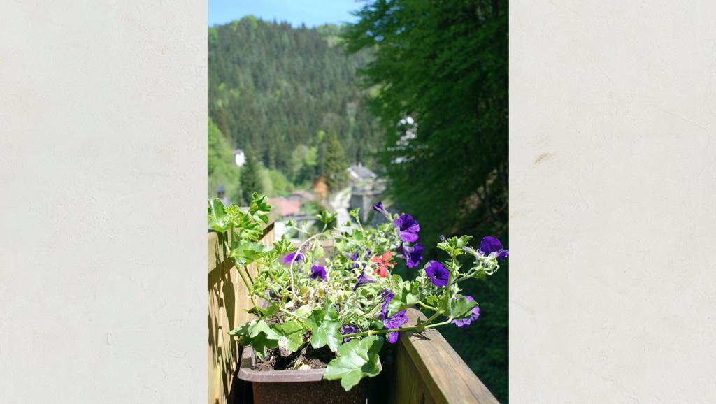Waldblick Landhaus B&B Schwarzenbach an der Pielach Exterior foto