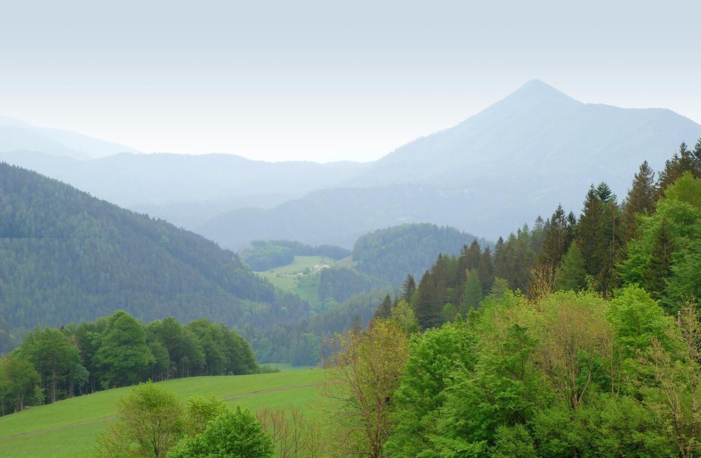 Waldblick Landhaus B&B Schwarzenbach an der Pielach Exterior foto